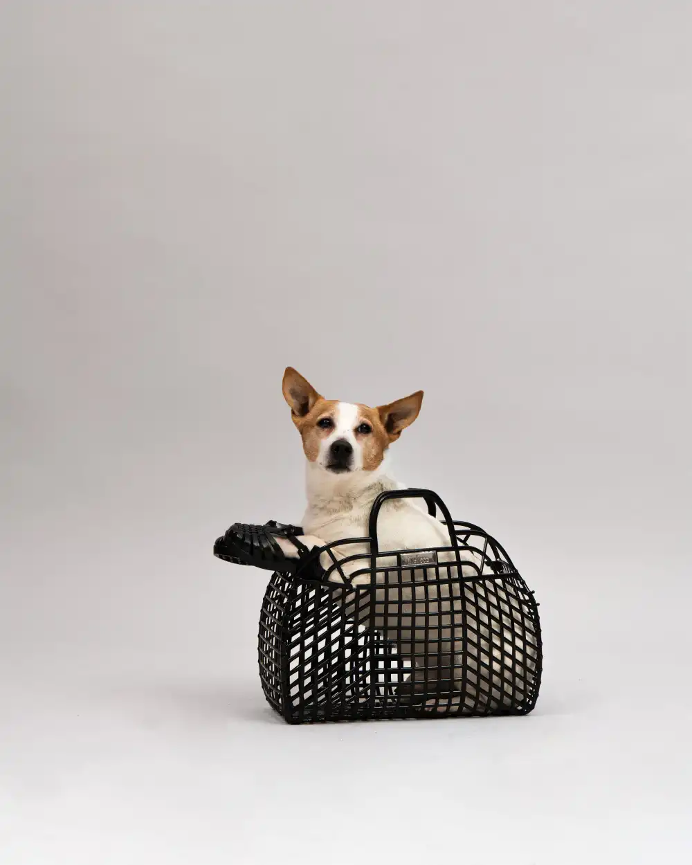 MINI MELISSA POSSESSION BB